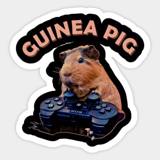 Fluff and Fold Guinea Pig Playing Game Tee for Rodent Aficionados Sticker